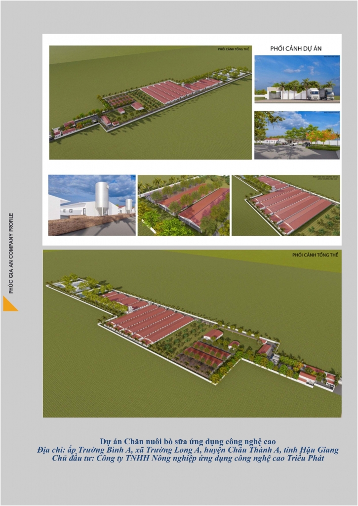 public/upload/hosonangluc/HSNLPHUCGIAAN2025Page31.jpg
